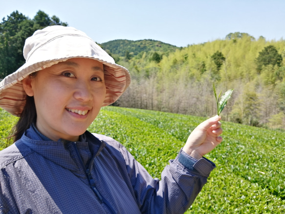 【送料込み】お試しセット！京都産　茶葉タイプ・たっぷり５種詰め合わせ（緑茶２種・ほうじ茶2種・京紅茶） 16枚目の画像