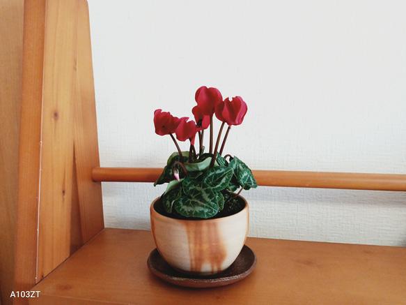 備前焼 まるい植木鉢と丸小皿 1枚目の画像