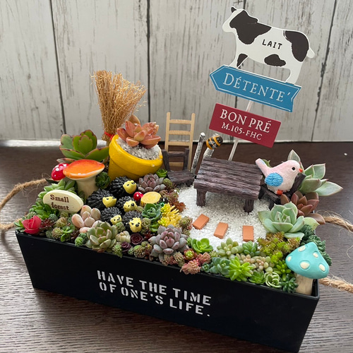 お得な全おまかせ受注制作 ブリキ缶ガーデン箱庭風〜多肉植物