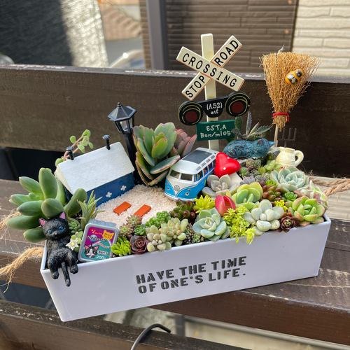 お得な全おまかせ受注制作 ブリキ缶ガーデン箱庭風〜多肉植物寄せ植え