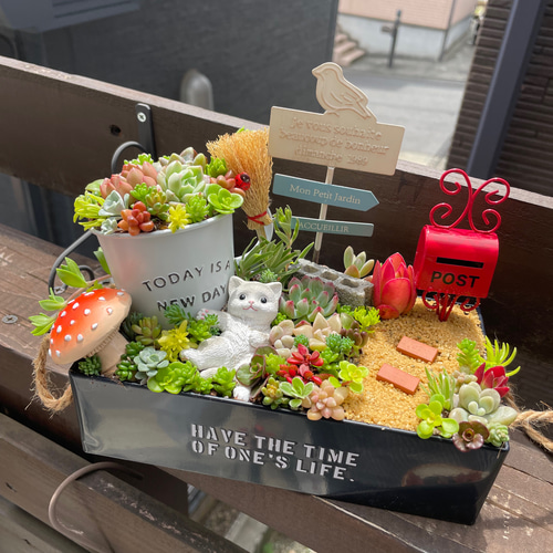 お得な全おまかせ受注制作 ブリキ缶ガーデン箱庭風〜多肉植物寄せ植え