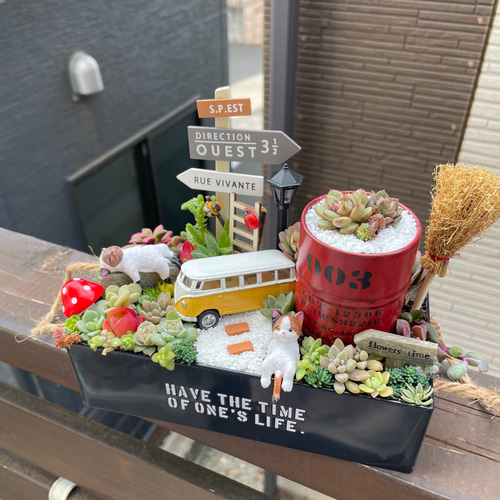 ★速達付き★♡そのまま飾れる♡ブリキ缶♬子猫ちゃんハロウィンの多肉植物寄せ植え♡ ☆速達付き☆♡そのまま飾れる♡ブリキ缶♬子猫ちゃんハロウィン