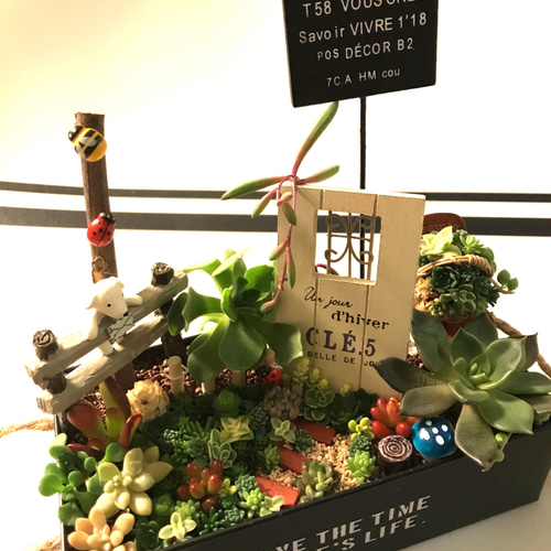 お得な全おまかせ受注制作 ブリキ缶ガーデン箱庭風〜多肉植物寄せ植え