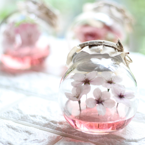 ❤ドライフラワー/ジェルボトルフラワー・サクラ(桜）/□母の日・誕生