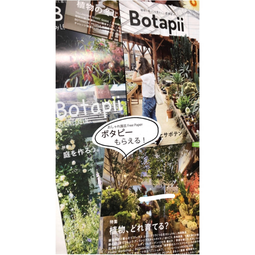 黒板塗料を塗った切り株　31cm 黒板塗料を塗った切り株 31cm その他インテリア雑貨 公工藝 通販