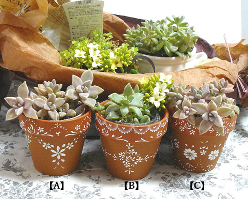 37c1706d25a018b631a5e7dc27471a