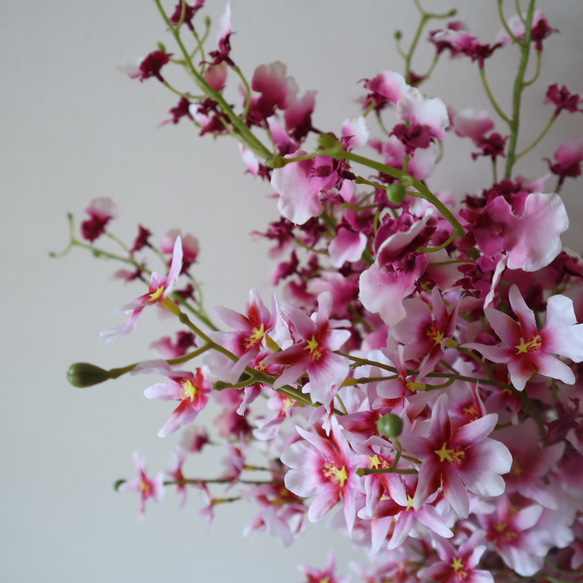 オンシジュームクラッチブーケ♡ シングルブーケ アーティフィシャルフラワー ウェディングブーケ オンシジュームクラッチブーケ♡ ウェディングブーケ MYK1556637379(12032円)