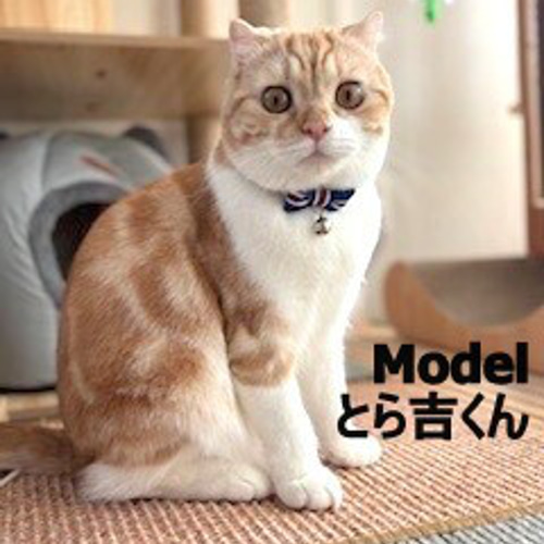 新色！バイカラーの紳士リボン＊猫ちゃん首輪 リード・首輪 Atelier