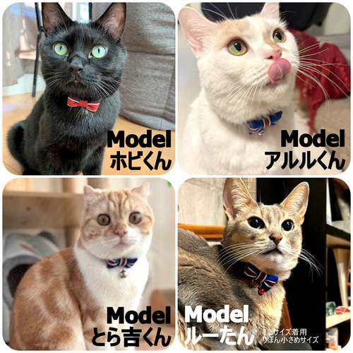 新色！バイカラーの紳士リボン＊猫ちゃん首輪 リード・首輪 Atelier