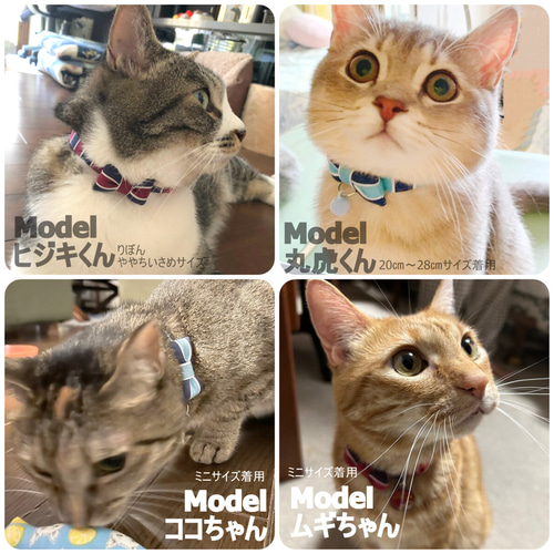 新色！バイカラーの紳士リボン＊猫ちゃん首輪 リード・首輪