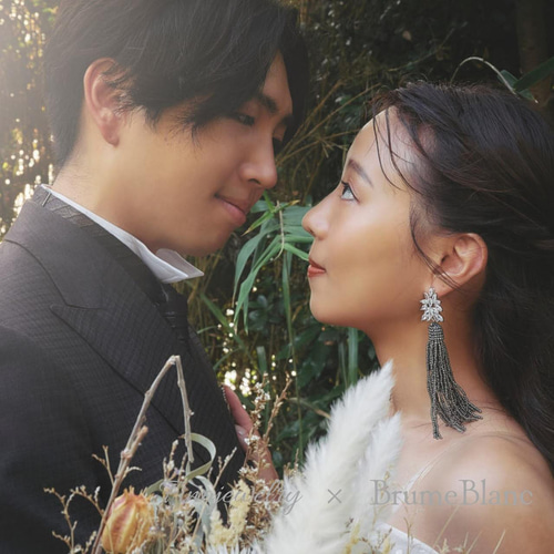 結婚式用　ウェディング　PRONOVIAS ピアス　美品 ゼクシィ掲載商品】 P030 ピアス ウエディング 結婚式 卒業式