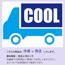 低糖質 新月のコーヒースフレ ミニカップ【1個からご注文OK】低カロリー 糖質制限 糖質オフ 5枚目の画像