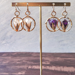 紫木蓮/玉蘭 pierced earrings / clicked on earring 第2張的照片