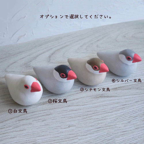 てのひら文鳥 白/桜/シナモン/シルバー その他置物 もっちょこ 通販
