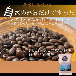 100％野生のコーヒー　豆又は粉100ｇ　リム　いだきしんサウン　ドアンドロメダエチオピアコーヒー 3枚目の画像