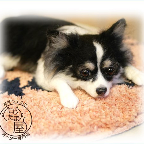 羊毛フェルトうちの子オーダー」 犬 猫 リアル ぬいぐるみ ペット