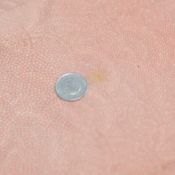正絹　刺繍のあるオレンジピンクの江戸小紋半幅はぎれ　1.4m  和小物、つまみ細工などに 4枚目の画像