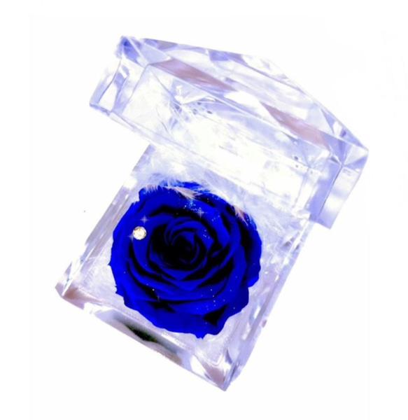 【最高級・青いバラ・オーロラブルー】プリザーブドフラワー  デート　ギフト　ジュエリーケース　ジュエリー　ギフト 1枚目の画像