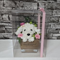 フラワーペット【マルチーズ】カーネーション 犬 動物 花 ペット お供え 母の日 誕生日 フラワーアレンジメント 10枚目の画像