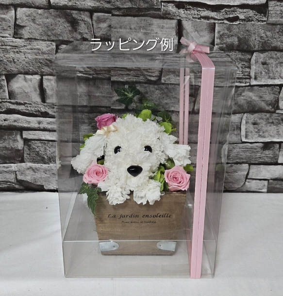 フラワーペット【マルチーズ】カーネーション 犬 動物 花 ペット お供え 母の日 誕生日 フラワーアレンジメント 10枚目の画像
