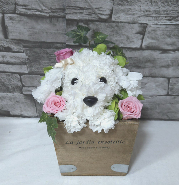 フラワーペット【マルチーズ】カーネーション 犬 動物 花 ペット お供え 母の日 誕生日 フラワーアレンジメント 1枚目の画像
