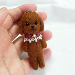 羊毛フェルト トイプードル（アプリコットちゃん） 羊毛フェルト