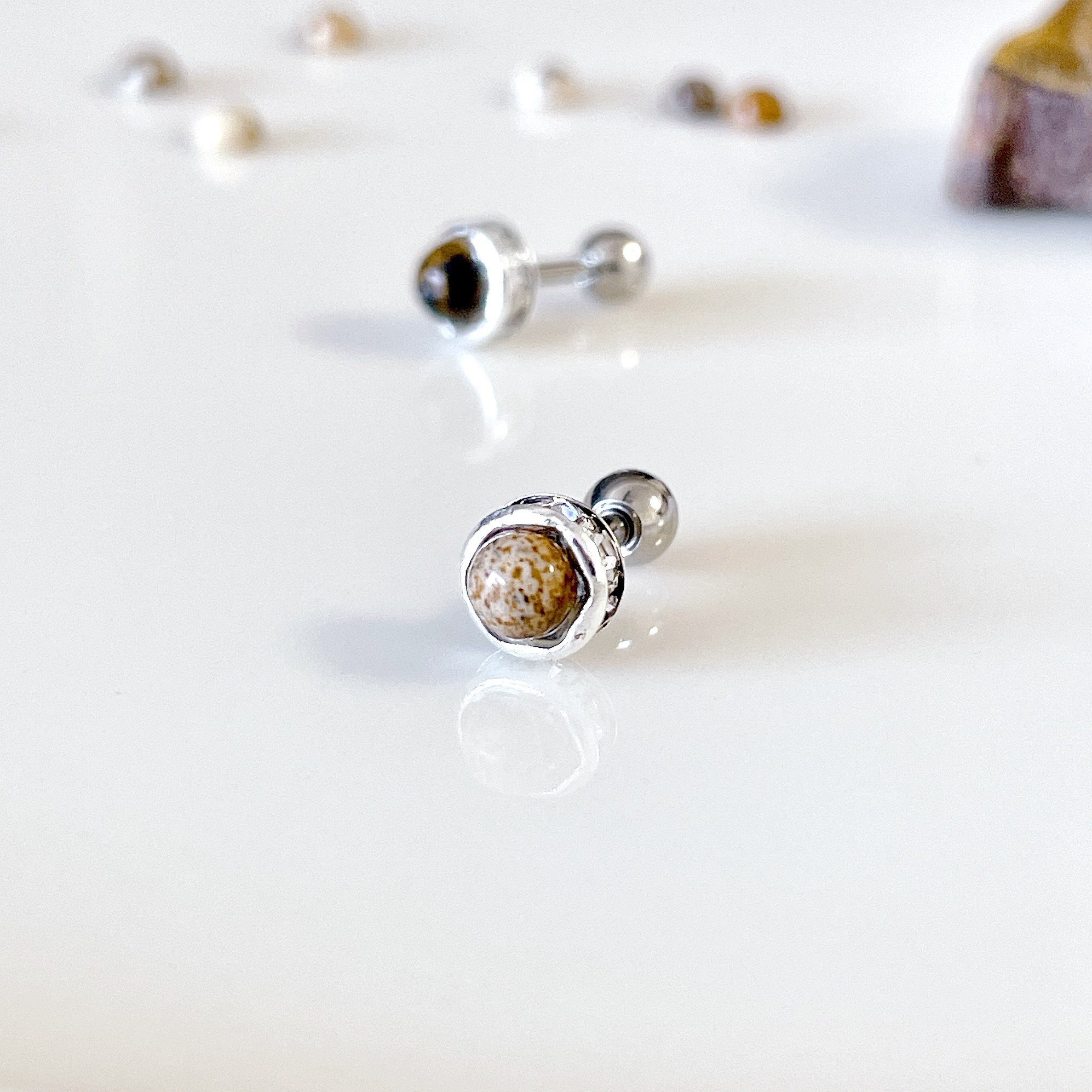 トカゲカラー ピクチャージャスパー 爬虫類 ボディピアス 14G