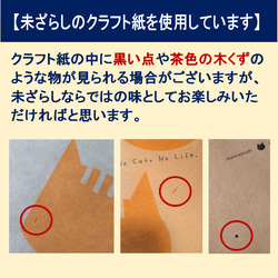 【ラッピングセット】レトロな雰囲気のミニ紙袋と、シャリシャリ素材の内袋・ワイヤータイのセットで簡単ラッピング。(中) 7枚目の画像