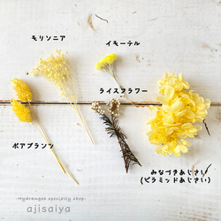 繡球和小花束黃色 第6張的照片