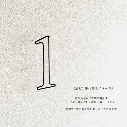 プチ数字 (虫ピン付属)ワイヤーレタリング お誕生日 記念日
