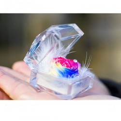 香り付【 虹色レインボーローズ・ジュエリーケース入 】イングリッシュローズの香り付きタイプ　プリザーブドフラワー　ギフト 1枚目の画像