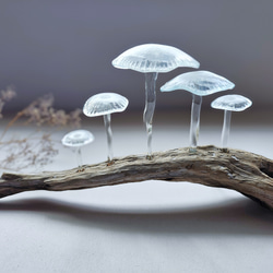 ガラスのキノコ 置物 オブジェ コガサダケ3本 5種類 立体・オブジェ