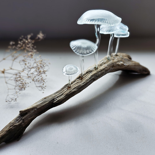 ガラスのキノコ 置物 オブジェ クリア 筋笠ぼかし5本 立体・オブジェ