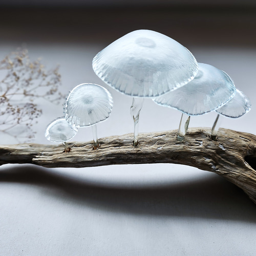 ガラスのキノコ 置物 オブジェ クリア 筋笠ぼかし5本 立体・オブジェ