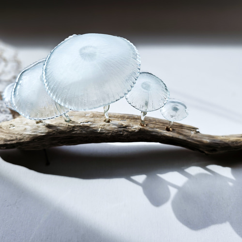 ガラスのキノコ 置物 オブジェ クリア 筋笠ぼかし5本 立体・オブジェ