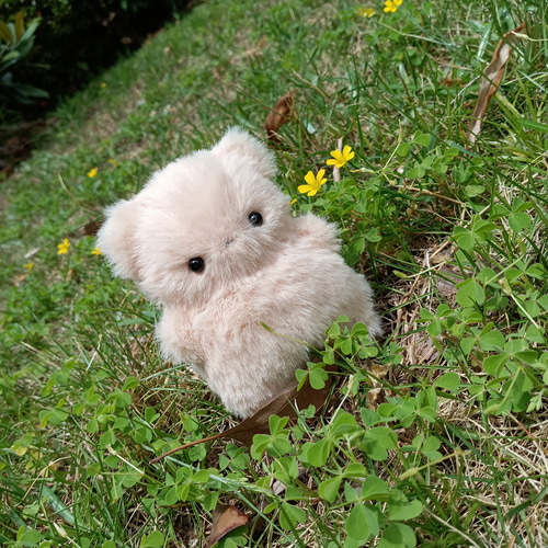 受注制作 もふもふちっちゃいくまくん ぬいぐるみ fuwamofu 受注制作 もふもふちっちゃいくまくん ぬいぐるみ fuwamofu