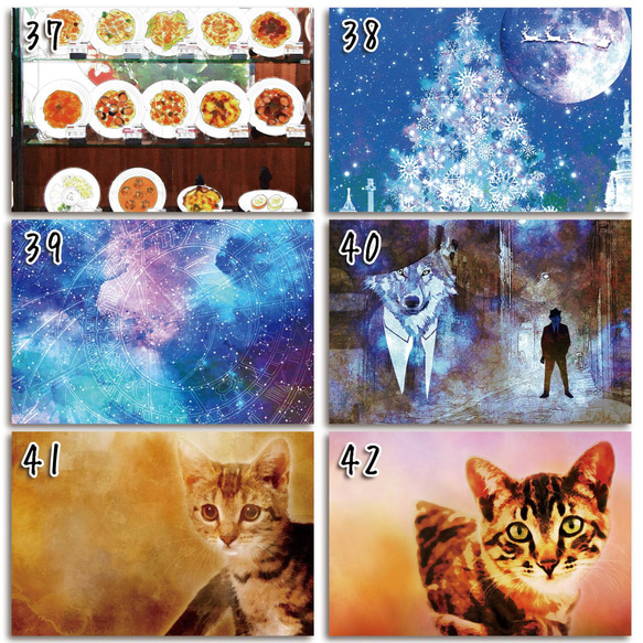 【vol.1】＊選べる＊ ポストカード 2枚セット 7枚目の画像