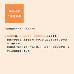 オーケストリ♪選べる封筒3枚 12枚目の画像