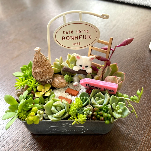 受注制作 ミニ箱庭風〜多肉植物寄せ植え その他インテリア雑貨 まぁ