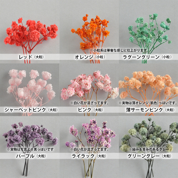 【9color】手作りキット・かすみ草のイヤリング（ピアス）　プリザーブドフラワー 2枚目の画像