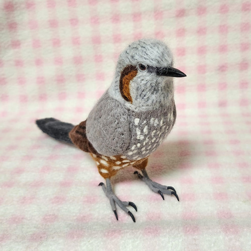 羊毛フェルト ひよどり ヒヨドリ リアルサイズ♪ ぬいぐるみ