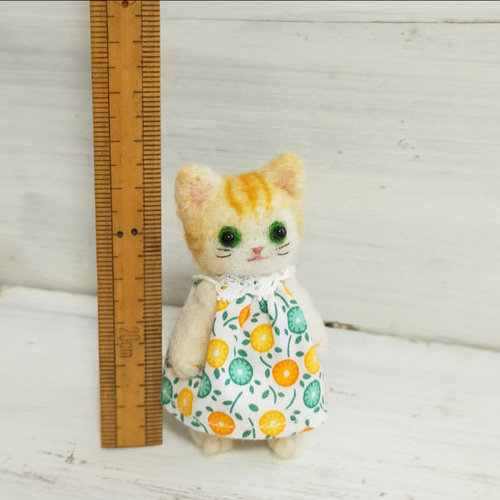 Amazon.co.jp: chata作家 ネコ羊毛フェルト テディベア ハンド