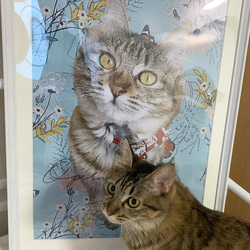 【いぬのきもち掲載商品】うちの子 花柄アート ポスター キャンバス │犬 猫 ペット 水彩画 似顔絵 5枚目の画像