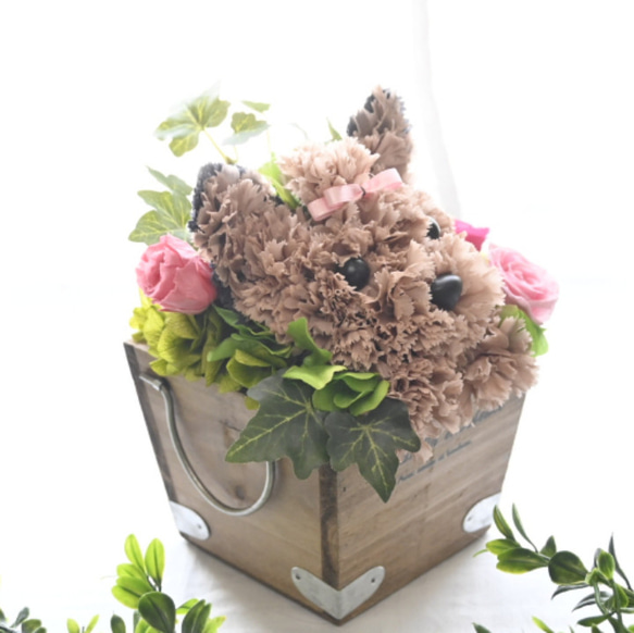フラワーペット【ヨークシャテリア】カーネーション 犬 プリザーブドフラワー 花 母の日 誕生日 お供え フラワーペット 7枚目の画像