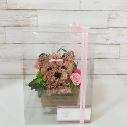 フラワーペット【ヨークシャテリア】カーネーション 犬 プリザーブドフラワー 花 母の日 誕生日 お供え フラワーペット 8枚目の画像