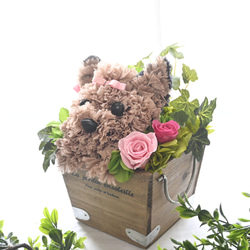 フラワーペット【ヨークシャテリア】カーネーション 犬 プリザーブドフラワー 花 母の日 誕生日 お供え フラワーペット 2枚目の画像