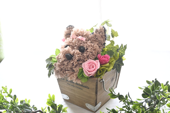 フラワーペット【ヨークシャテリア】カーネーション 犬 プリザーブドフラワー 花 母の日 誕生日 お供え フラワーペット 2枚目の画像