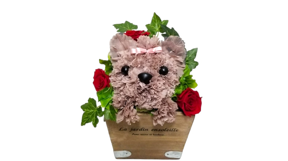 フラワーペット【ヨークシャテリア】カーネーション 犬 プリザーブドフラワー 花 母の日 誕生日 お供え フラワーペット 4枚目の画像