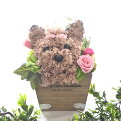 フラワーペット【ヨークシャテリア】カーネーション 犬 プリザーブドフラワー 花 母の日 誕生日 お供え フラワーペット 6枚目の画像