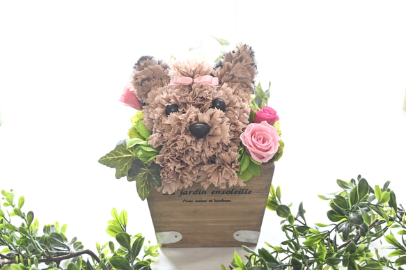 フラワーペット【ヨークシャテリア】カーネーション 犬 プリザーブドフラワー 花 母の日 誕生日 お供え フラワーペット 6枚目の画像